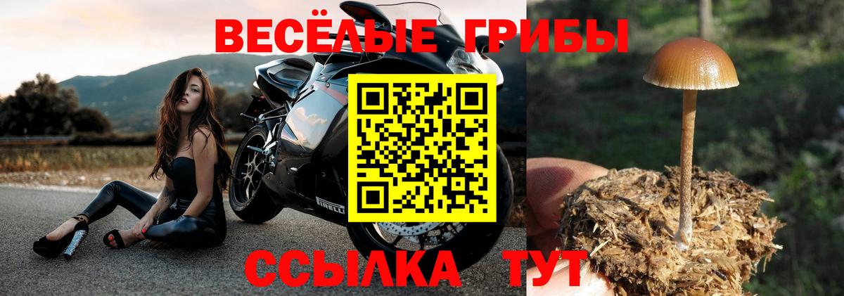 Псилоцибиновые грибы Magic Shrooms Татарск